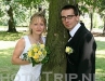 novomanželé u stromu